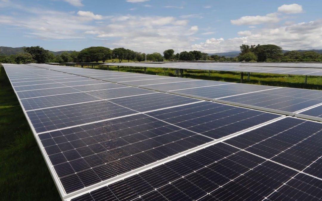 Solar Park La Medina